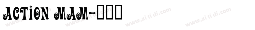 action mam字体转换